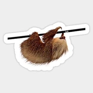 Sloth Sticker